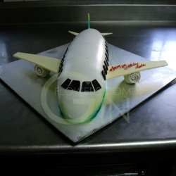 GF0555-Aeroplane Cake Design