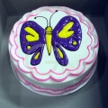 GF0041-Butterfly Cake