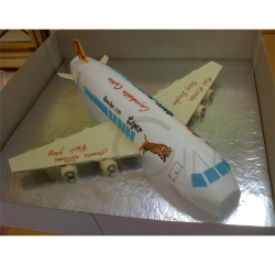 GF0336-aeroplane cake