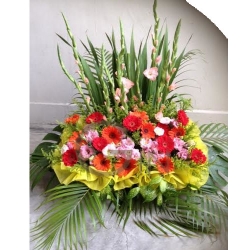 GF0606-mixed gerberas delight