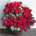 GF0950-roses arrangement delivery