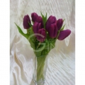 QF1187-Purple Tulip in the Vase