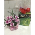 GF1017-motherday flower delivery singapore